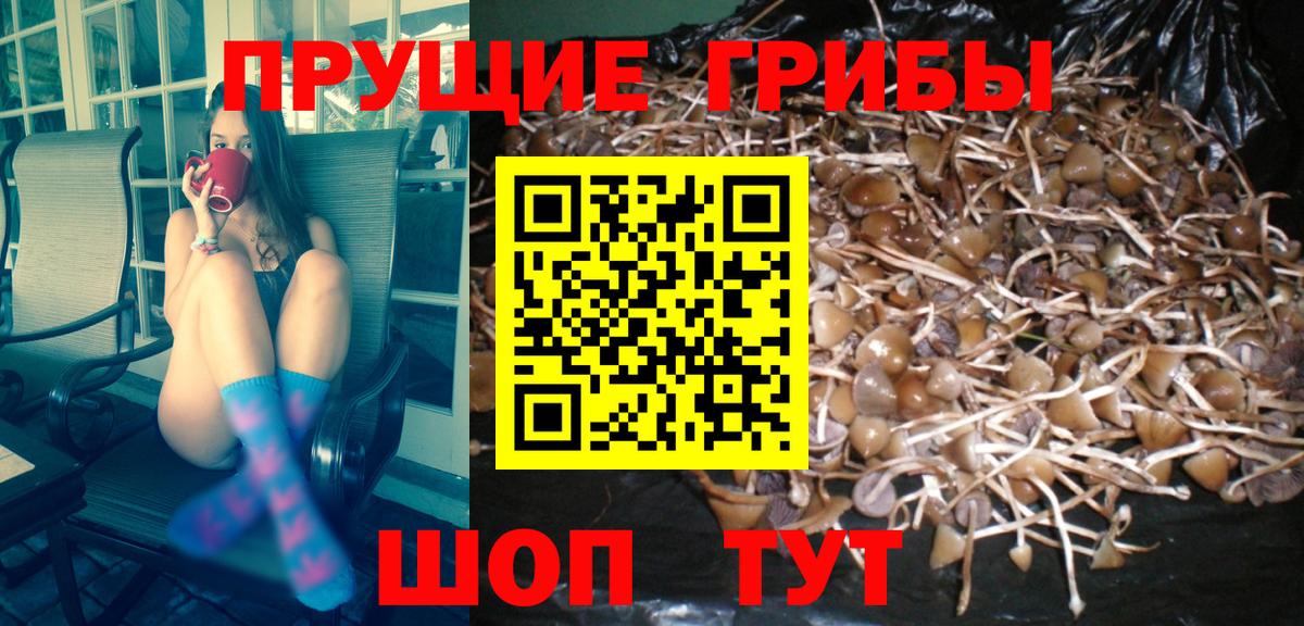 Галлюциногенные грибы мицелий Рубцовск